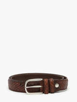 Riem Etrier Bruin bride EBRI711C