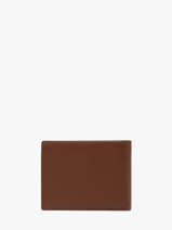 Portefeuille Smooth Leder Yves renard Bruin smooth 1572
