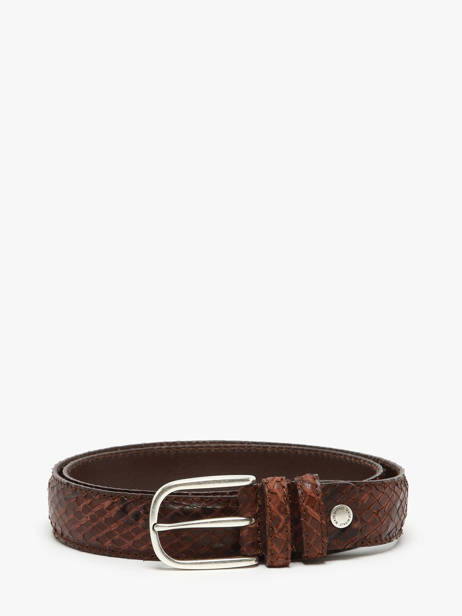 Riem Etrier Bruin bride EBRI711C