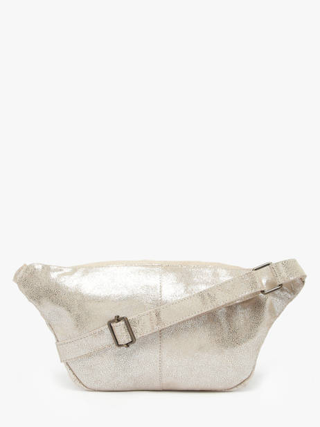 Heuptasje Pieces Zilver daino 17136453 ander zicht 4